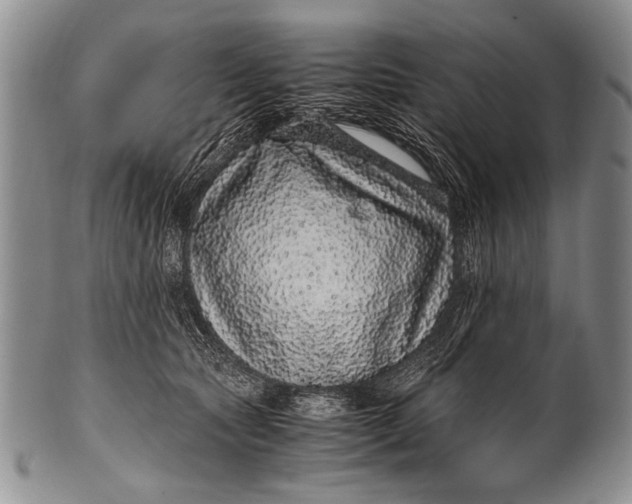 X0000100340561200806261329