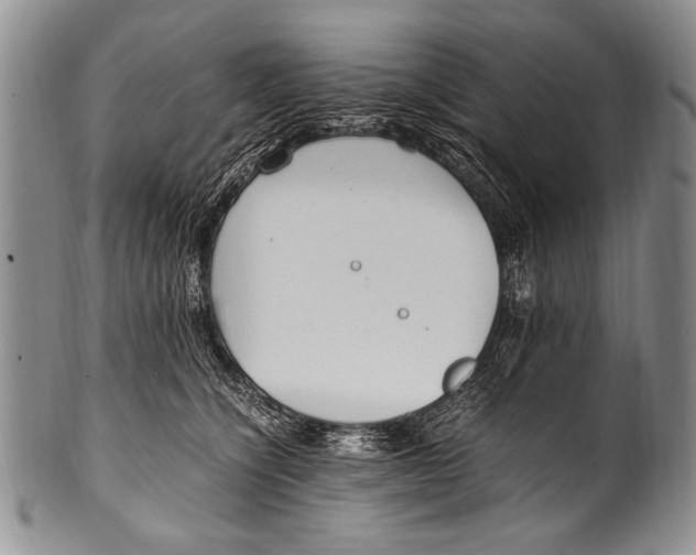 X0000100340564200806261329