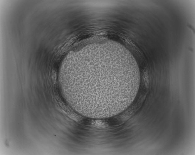 X0000100340565200806261329