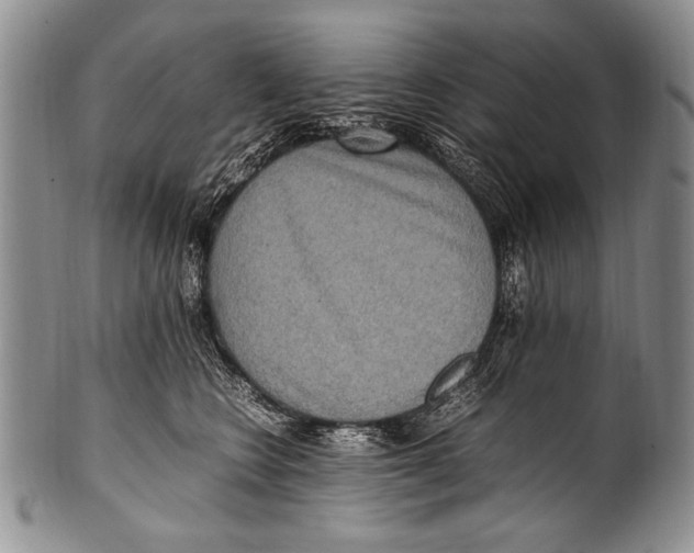 X0000100340566200806261329