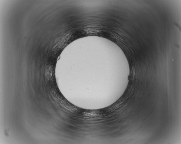 X0000100340567200806261329