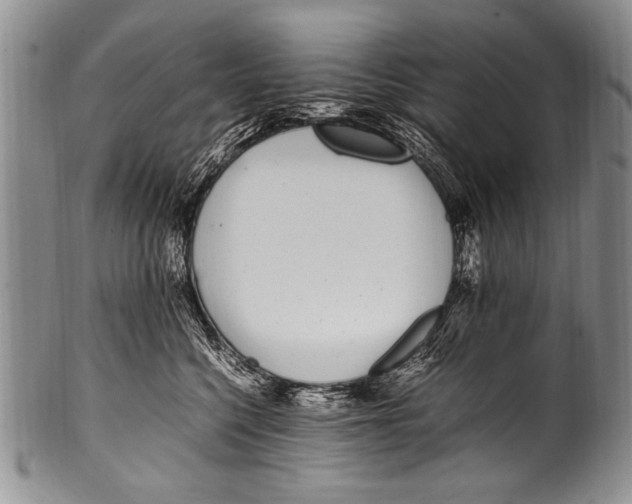 X0000100340568200806261329