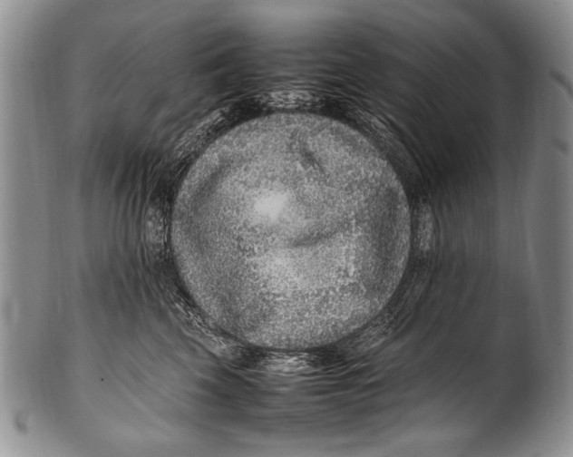 X0000100340569200806261329