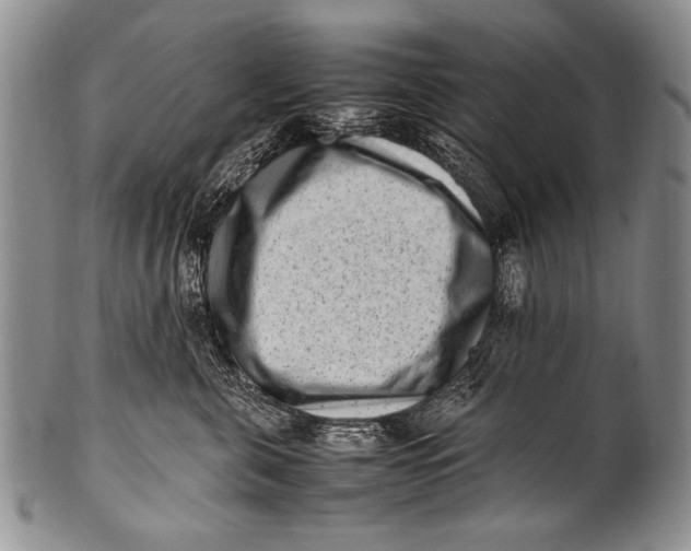 X0000100340571200806261330