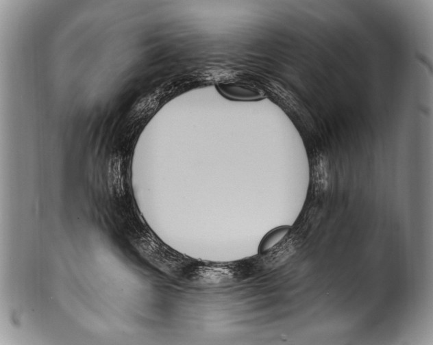 X0000100340572200806261330