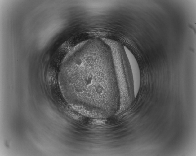 X0000100340573200806261330