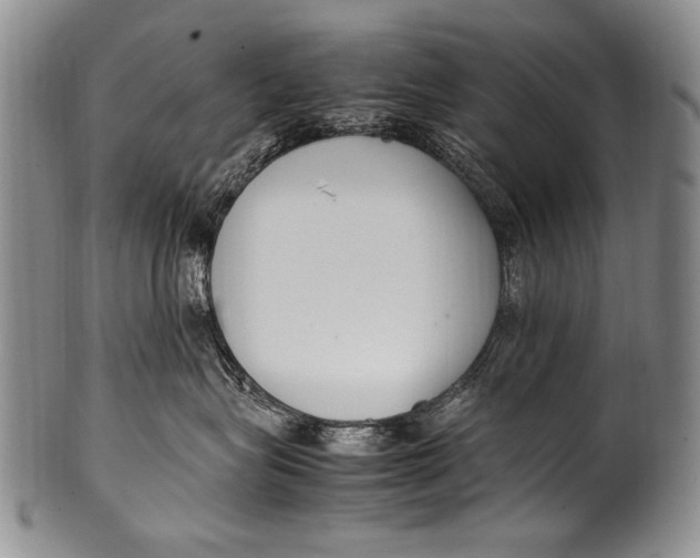 X0000100340575200806261330