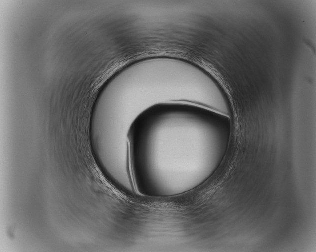 X0000100340577200806261329