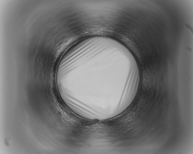 X0000100340578200806261329