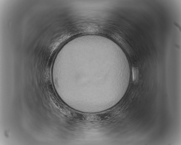 X0000100340579200806261329