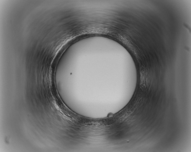 X0000100340580200806261329