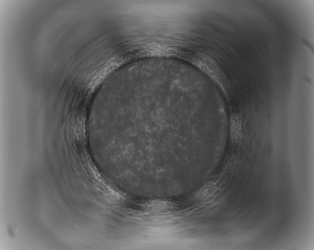 X0000100340581200806261329