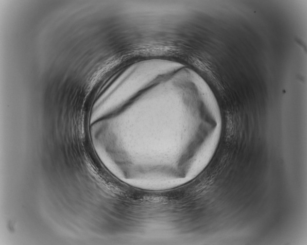 X0000100340582200806261329