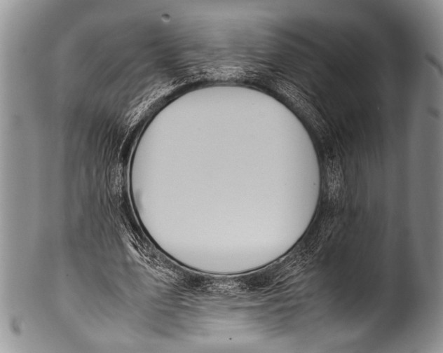 X0000100340583200806261329