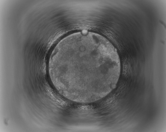 X0000100340584200806261329