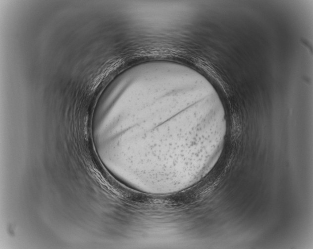 X0000100340585200806261329