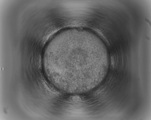 X0000100340588200806261329