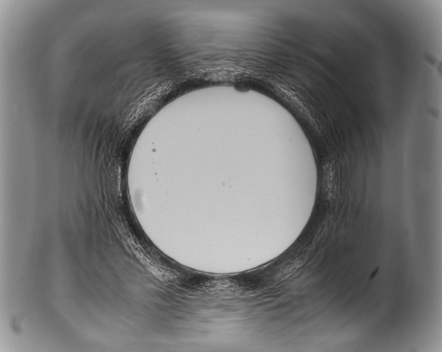 X0000100340589200806261329