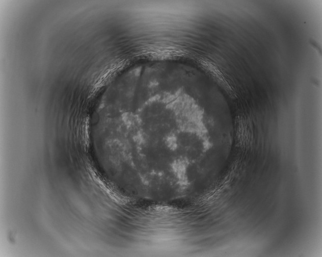 X0000100340590200806261329