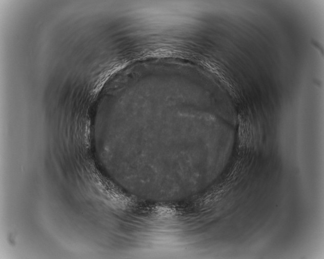 X0000100340592200806261329