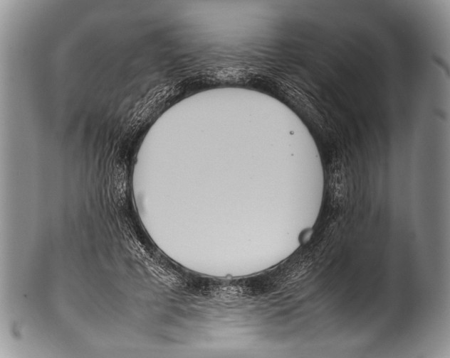 X0000100340593200806261329