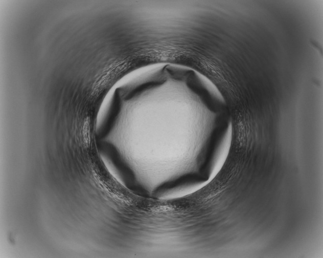 X0000100340594200806261329