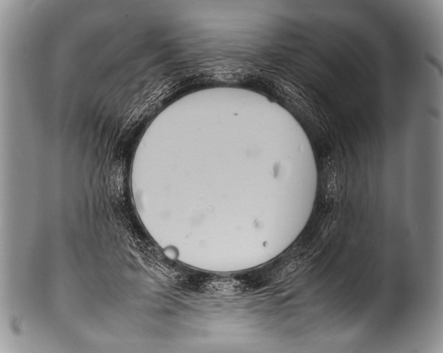 X0000100340595200806261329