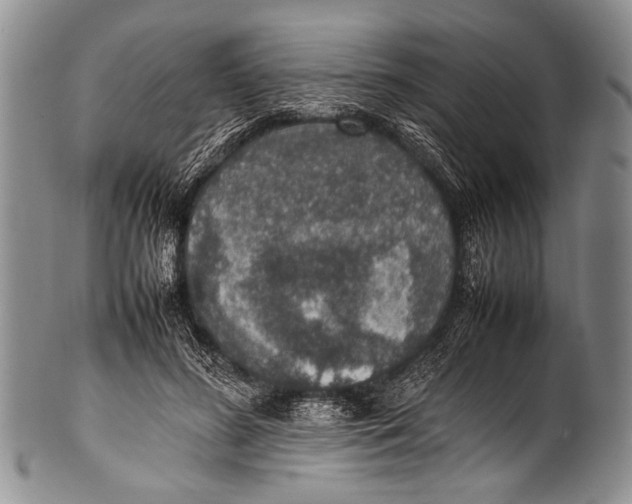 X0000100340596200806261329