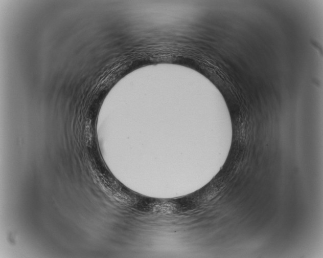 X0000100340599200806261329