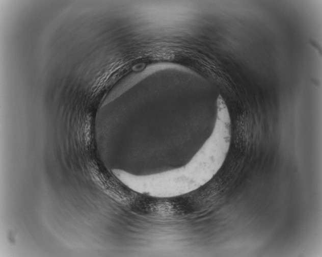 X0000100340600200806261329