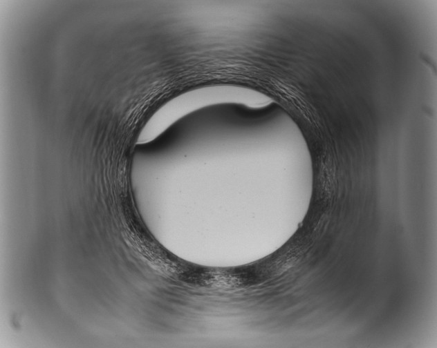 X0000100340601200806261329