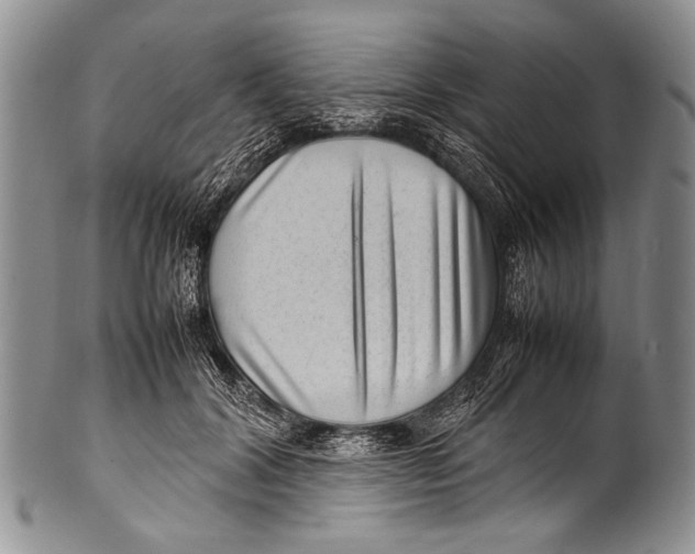 X0000100340604200806261329