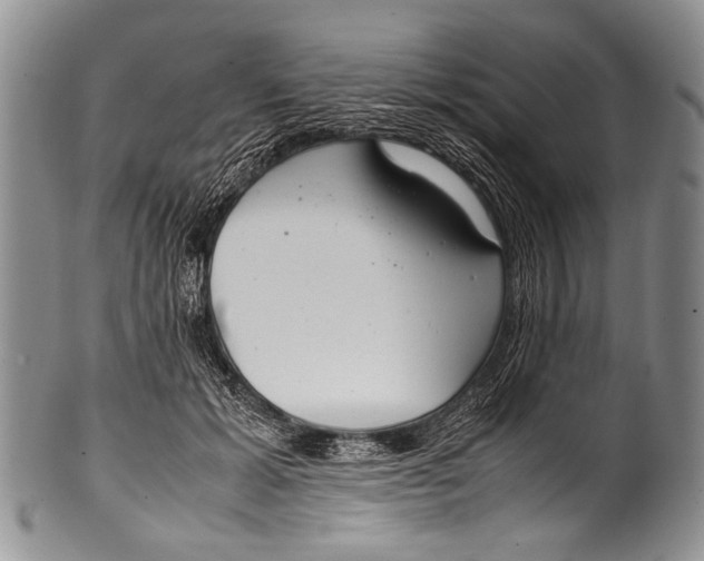 X0000100340605200806261329