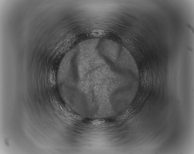 X0000100340606200806261328