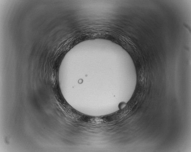 X0000100340607200806261328