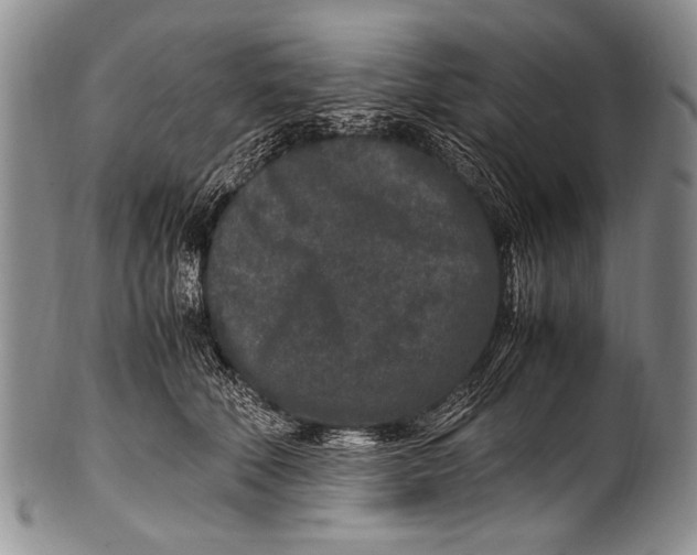 X0000100340610200806261328