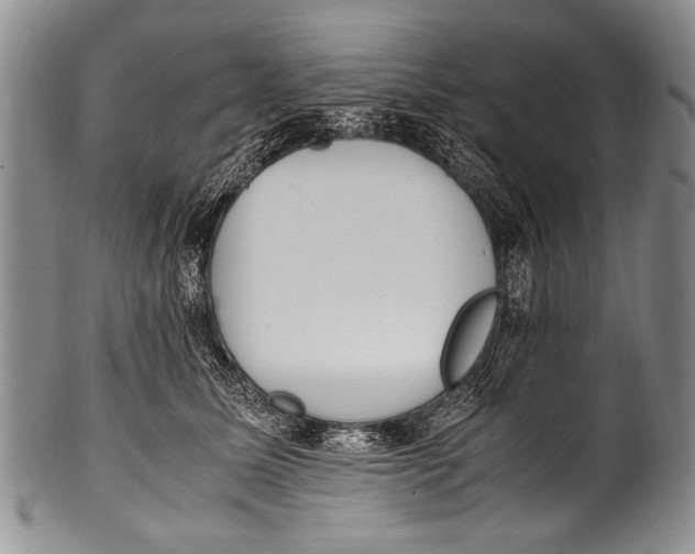 X0000100340611200806261328