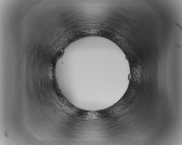 X0000100340612200806261328