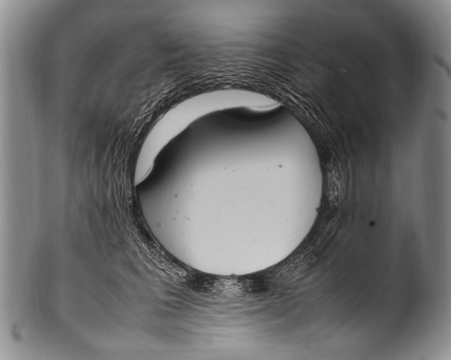 X0000100340613200806261328