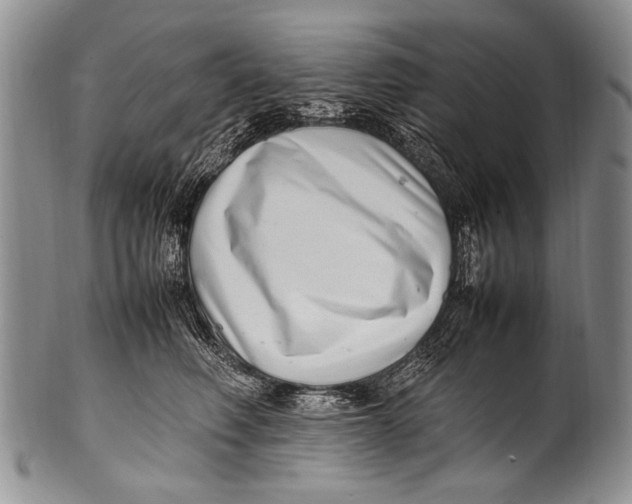 X0000100340614200806261328