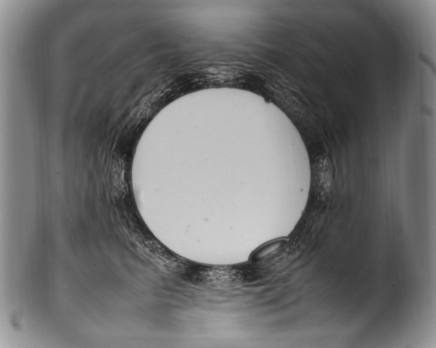 X0000100340615200806261328