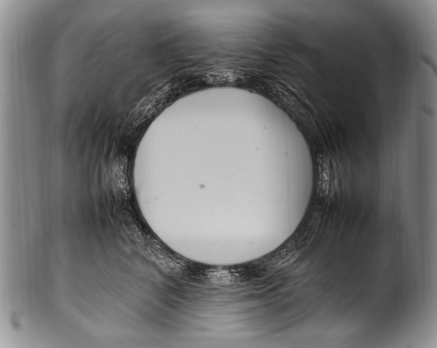 X0000100340616200806261328