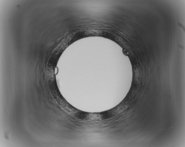 X0000100340617200806261328