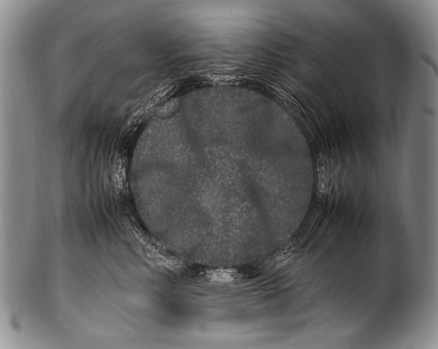 X0000100340618200806261328