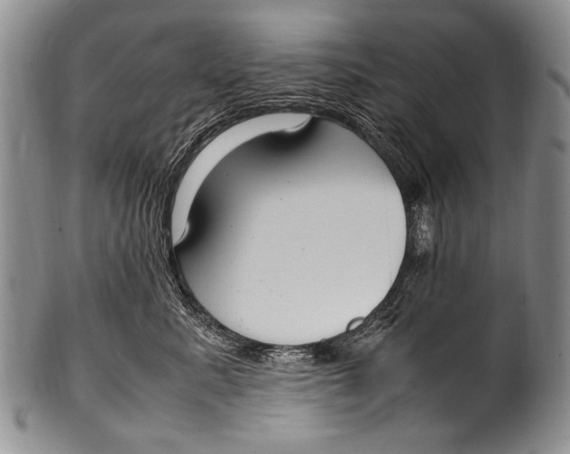 X0000100340619200806261328