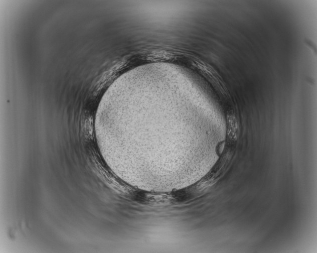 X0000100340621200806261328