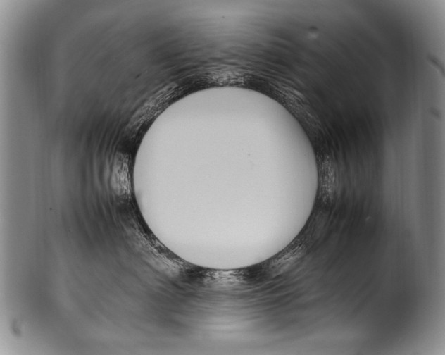 X0000100340622200806261328