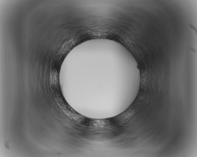 X0000100340623200806261328