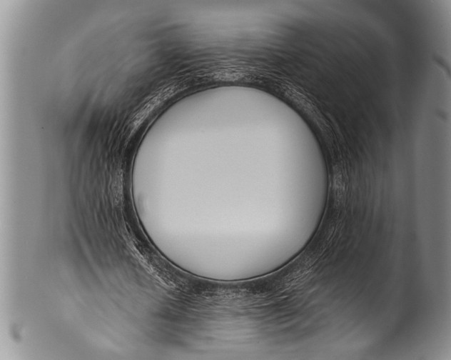 X0000100340626200806261327