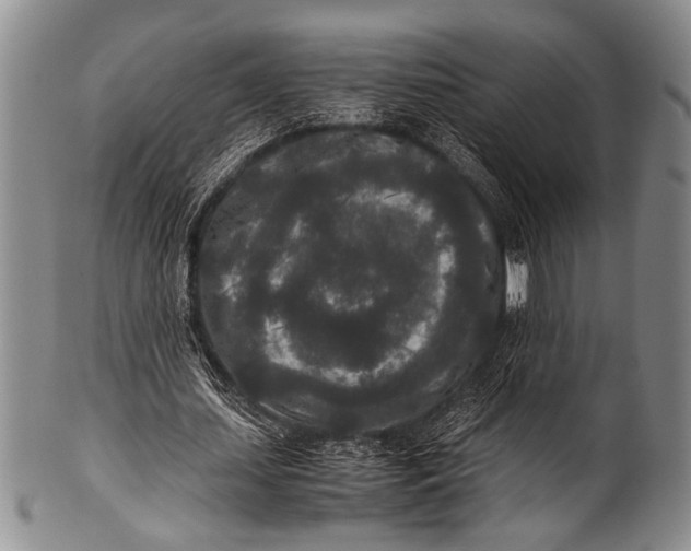 X0000100340627200806261327